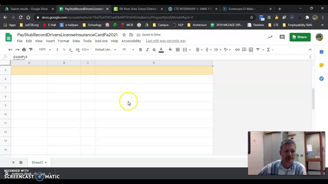 How to use your Pay Stub Record