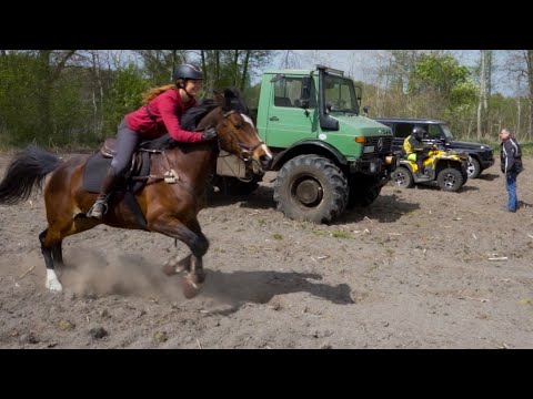 Der große Vergleich | Unimog U1700 vs G-Klasse vs ATV vs Pferd | FINALE