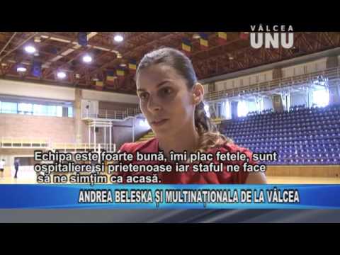 HCM RM. VALCEA SI MULTINATIONALA 2016