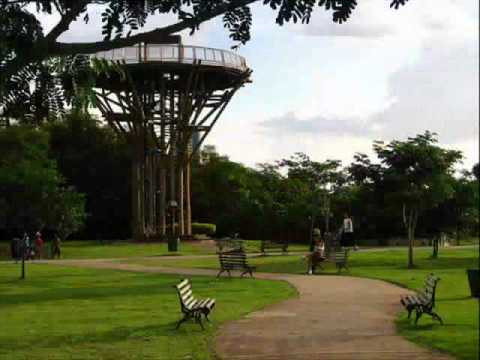 Tardes Morenas de Mato Grosso video