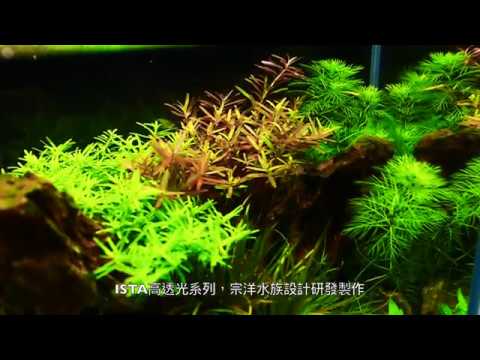 Ac草影 免運費 Ista 伊士達高透光水草燈 30cm 一個 露天拍賣 Ac草影 免運費 Ista 伊士達高透光水草燈 30cm 一個 露天拍賣