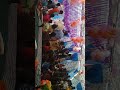 Shankar Ji Shankar Ji Shankar Ji Aaye