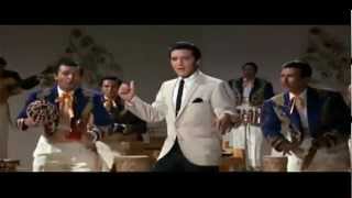 Presley, Elvis - Bossa Nova Baby video