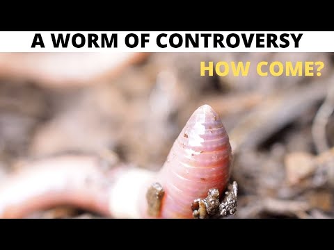 Alabama Worms Should You Really Farm Them?