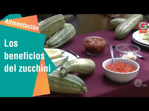 download lagu mp3 mp4 Zucchini Que Es, download lagu Zucchini Que Es gratis, unduh video klip Zucchini Que Es