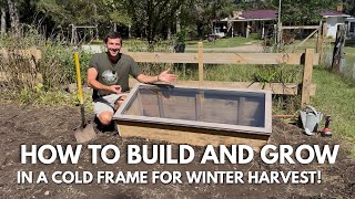 How I Built a Cold Frame to Extend My Growing Season! 🥕 