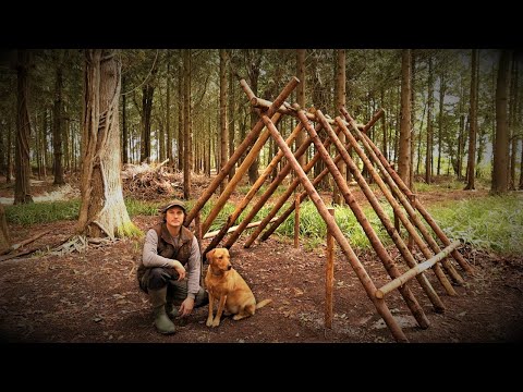 NEW BUILD: Building a Woodland Viking House Bushcraft Shelter with my Dog | Hand Tools | Axe | Ep.1