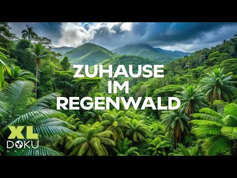 Geheimnisse im Valdivianischen Regenwald | Expedition nach Lateinamerika | XL Naturdoku