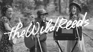 The Wild Reeds Perform "Run 'n Hide"