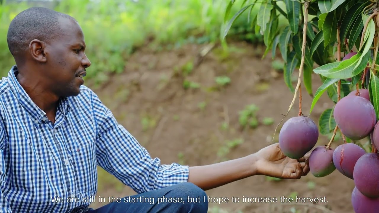 Turning Fruit Farming into a Business | Green Amayaga in Action