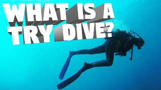 What Is A Try Dive?