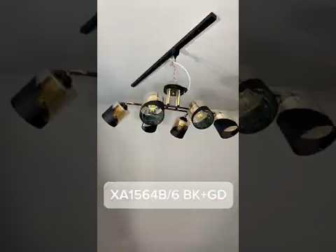 Миниатюра изображения товара Спот Aitin-Pro НПБ 02-6x60-101 / XA1564B/6 (черный/золото)