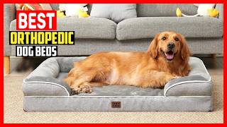 ✅Top 5 Best Orthopedic Dog Beds in 2026
