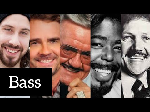 The Bass Voice