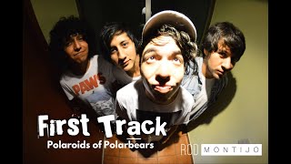 First track 02 - Polaroids of Polarbears