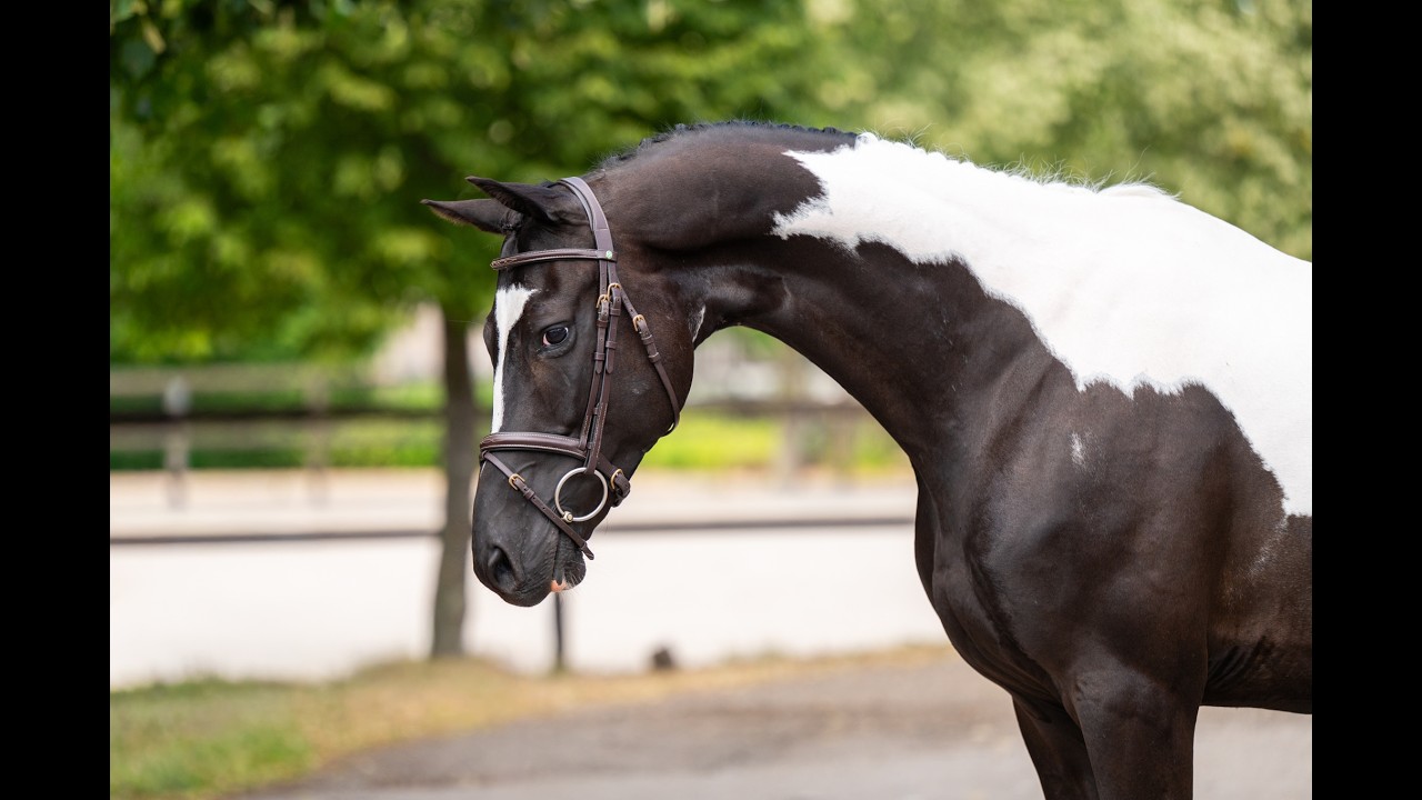 Eberhofer ☆ (DONAUBEND x ELVIS) video 5