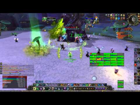 Warlords of Draenor - Highmaul - Brackenspore Boss 3 - Healer Aspect - 25man