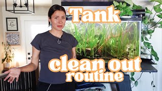 How I clean my fish tank! Tank routine & maintenance