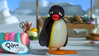 Pingu Gets in Trouble 🐧 | Pingu - Official Channel | Cartoons For Kids