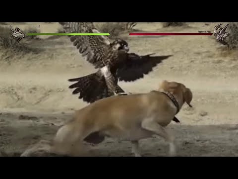 Final Fantasy XVI - Phoenix vs Ifrit Eikon of Fire : Boss Fight Meme