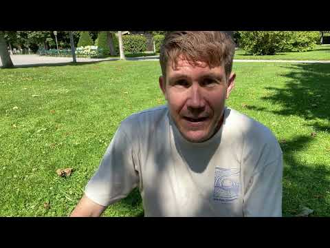 The universe supports you 17 - 23 July 2023 Your Weekly Horoscope with Gregory Scott