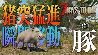 ゾンビより先に瞬間移動する豚（イノシシ）にサバイバルの洗礼を受ける【7 Days to Die #02】