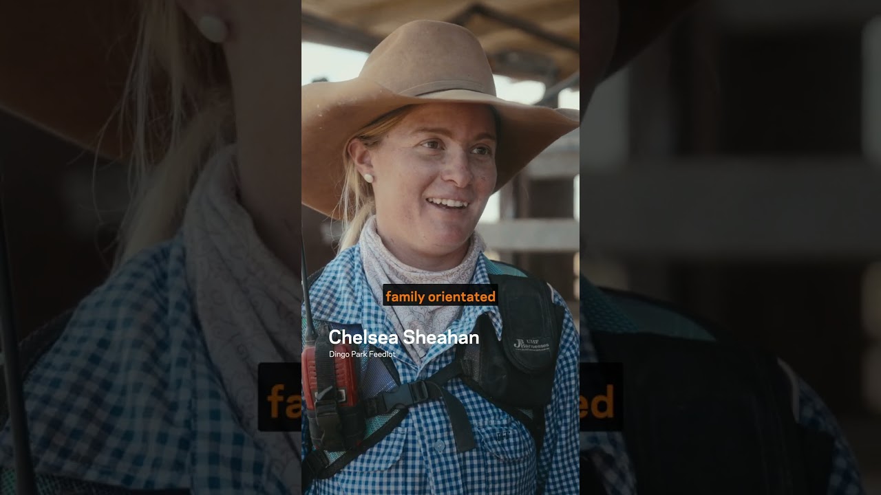 Gallagher Dingo Park - SM1