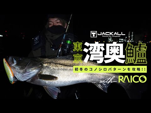 [JACKALL] Aiming for sea bass in the Tokyo Bay rivers in early winter with the RAICO 132F by Sato...