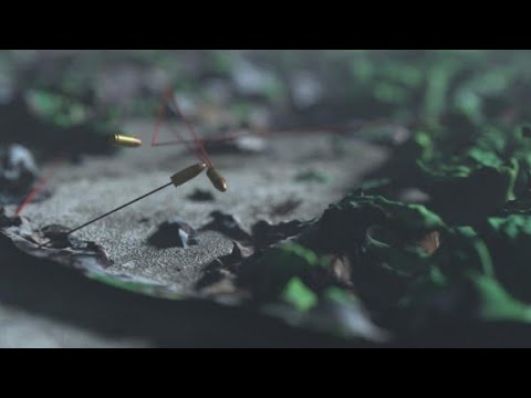 Eiskalte Spur (3v3) – Menschliche Knochen