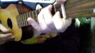 tame my tiger - t rex - concert uke