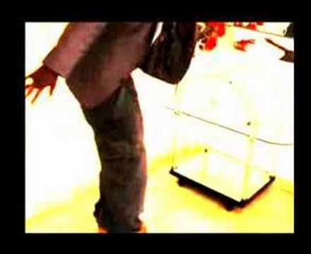 jungle leaders - some tin