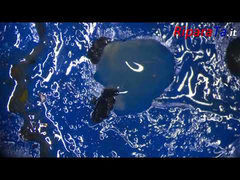 Riparazione Oppo A54s: Sostituzione Connettore e Ripristino Condensatori | Guida in 4K