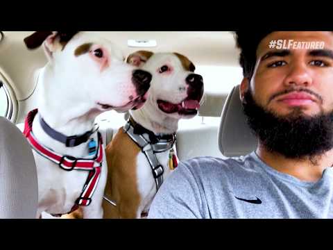 Sports Link: The Process (Trey's Dogs)