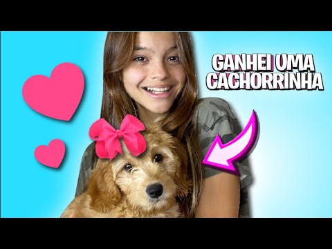 GANHEI UMA CACHORRINHA NO MEU ULTIMO DIA DE FERIAS!!