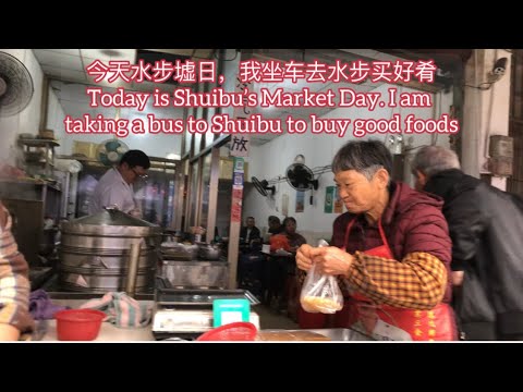 今天水步墟日，我坐車去水步買好餚Today is Shuibu's Market Day. I am taking a bus to Shuibu to buy good foods探索臺山467