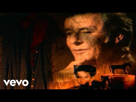 Maxime Le Forestier - Person To Person