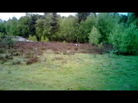 Sam is jarig vandaag.mp4