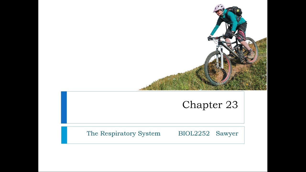 Chapter 23 Lecture Video