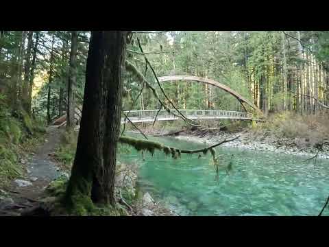 Middle Fork Snoqualmie River Trails