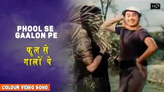 Phool Se Galon Pe Lyrics English Translation
