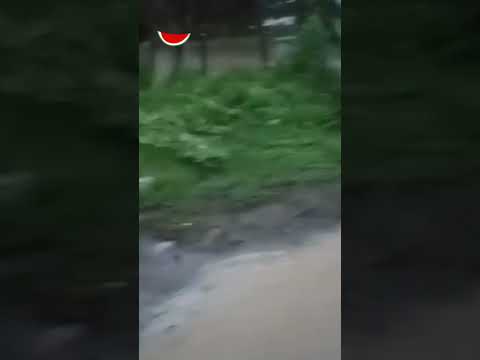 Al menos cuatro comunidades del municipio Obispos de Barinas están inundadas