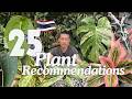 Plant Hunting In Thailand Rare Plants I Recommend