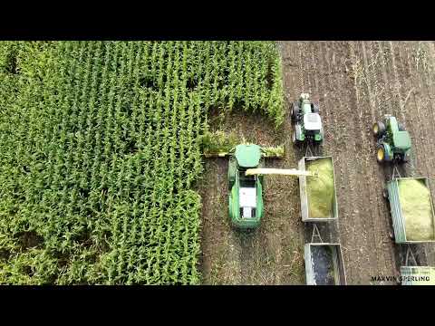 Maishäckseln 2021 | John Deere 8400i, 4 Abfahrer | Corn harvest