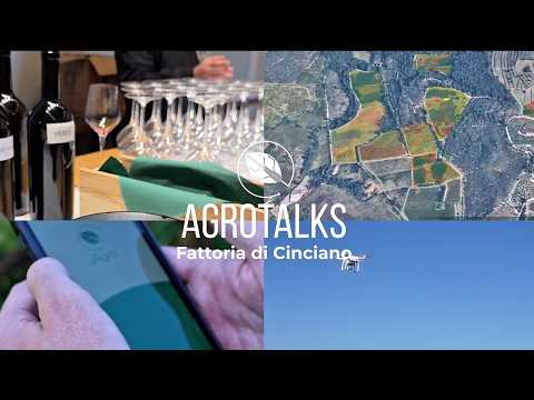 Fattoria di Cinciano