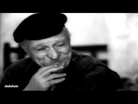 ბებერი მეზურნეები / Beberi Mezurneebi