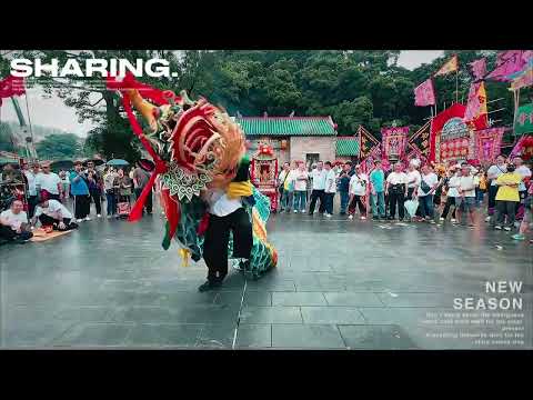 观塘导赏团（作业）