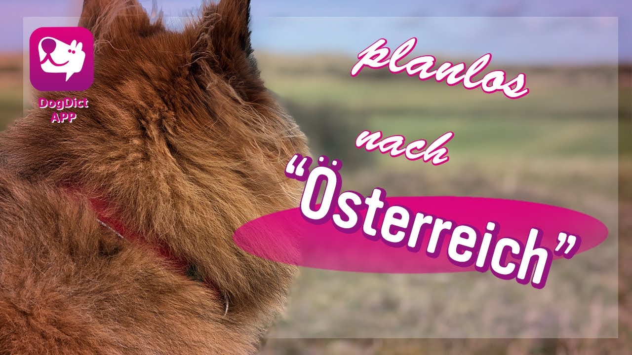 Folge 03: Planlos nach Österreich