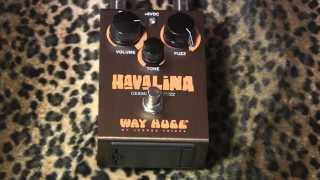 Video thumbnail for Way Huge HAVALINA germanium fuzz demo with Kingbee Tele & Dr Z Antidote by gearmanndude