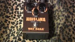 Way Huge HAVALINA germanium fuzz demo with Kingbee Tele & Dr Z Antidote