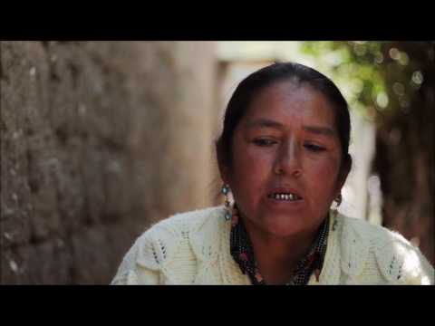 Testimonio de Cecilia Barrios Alarcón